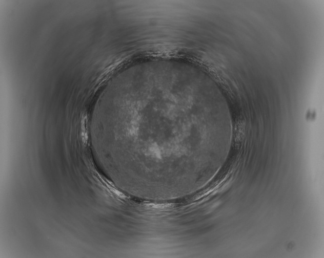 X0000094441202200711081241