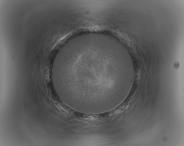 X0000094441205200711081241
