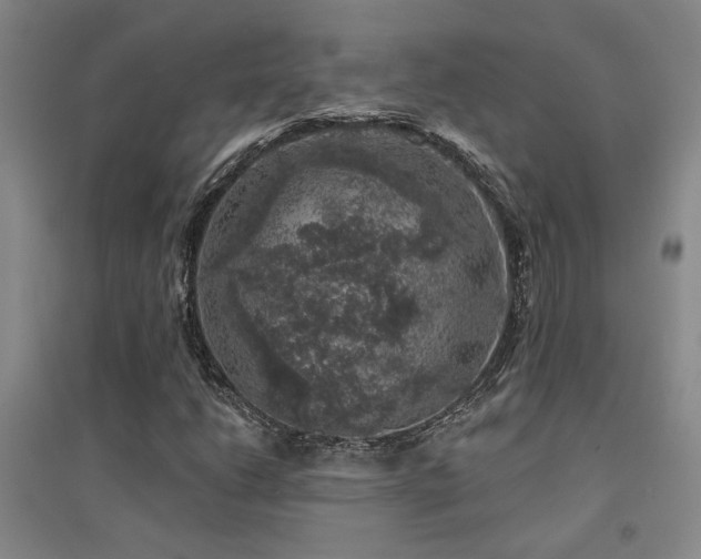 X0000094441206200711081241