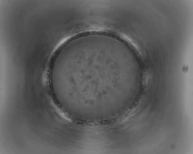 X0000094441208200711081241
