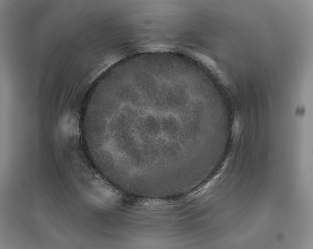 X0000094441209200711081241