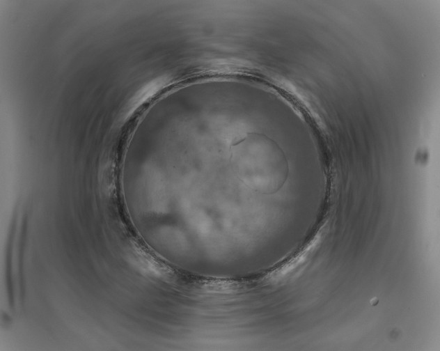 X0000094441211200711081241