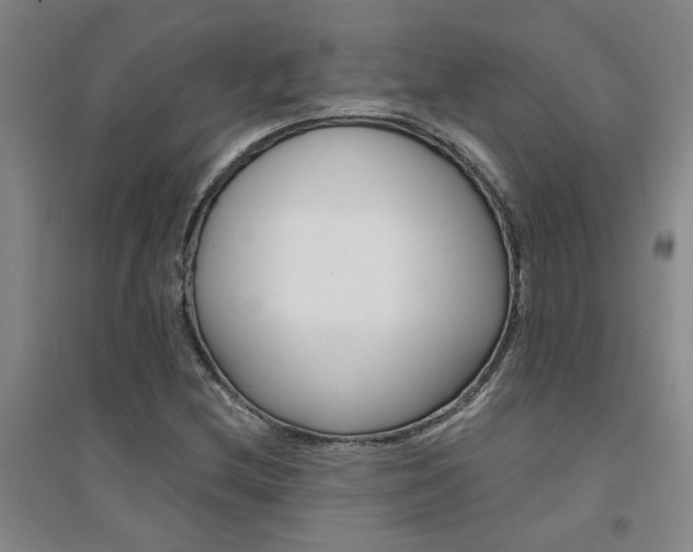 X0000094441212200711081241