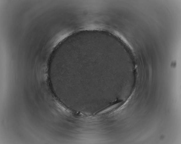 X0000094441213200711081241