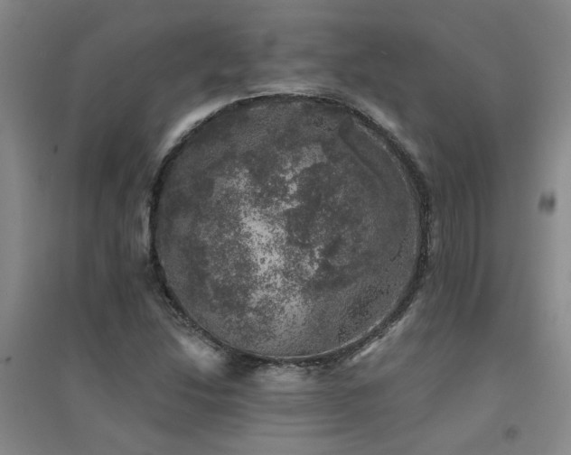 X0000094441214200711081241