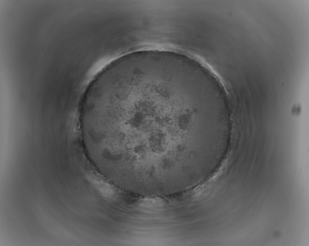 X0000094441215200711081241