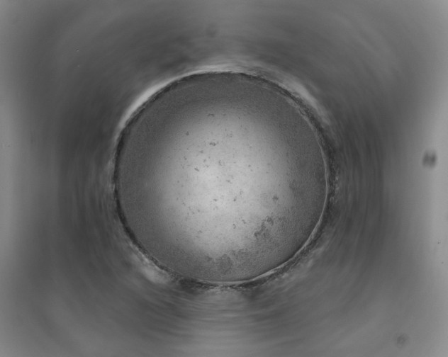 X0000094441216200711081241