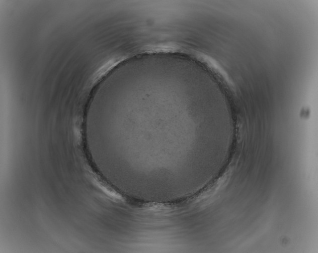 X0000094441217200711081241