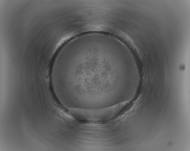 X0000094441218200711081241