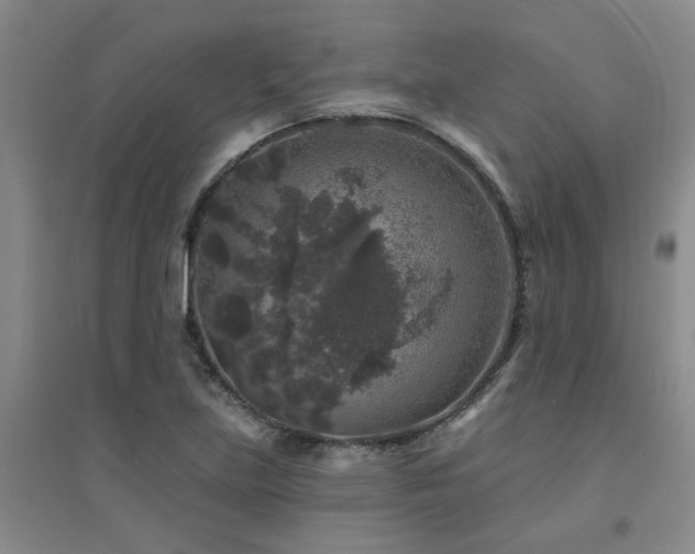 X0000094441219200711081241