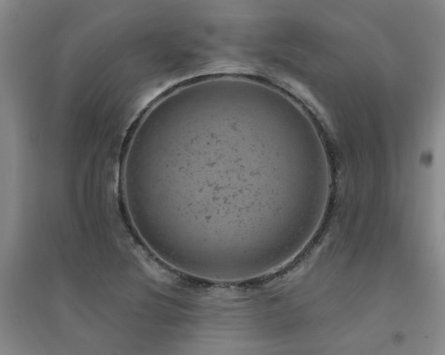 X0000094441220200711081241