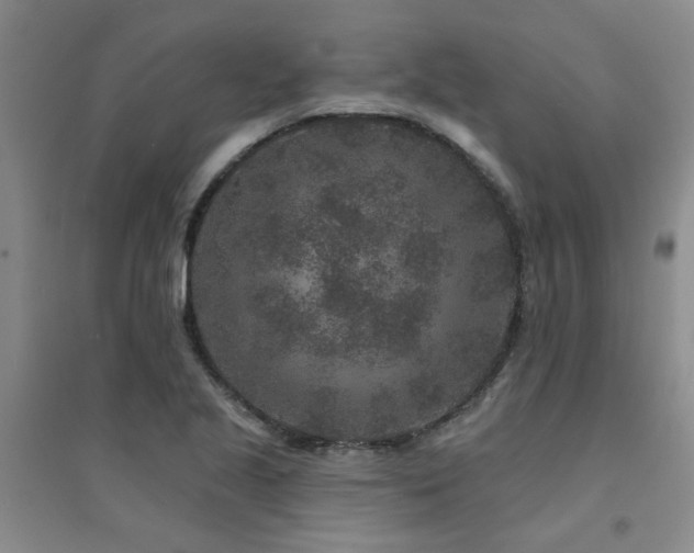 X0000094441221200711081241