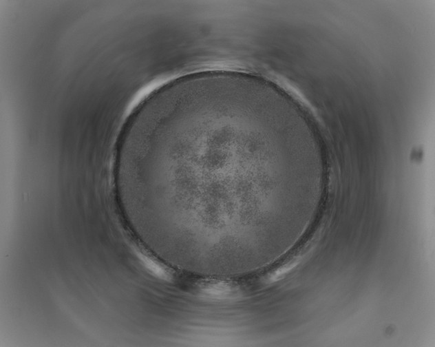 X0000094441222200711081241