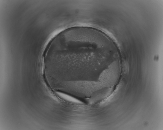 X0000094441223200711081241
