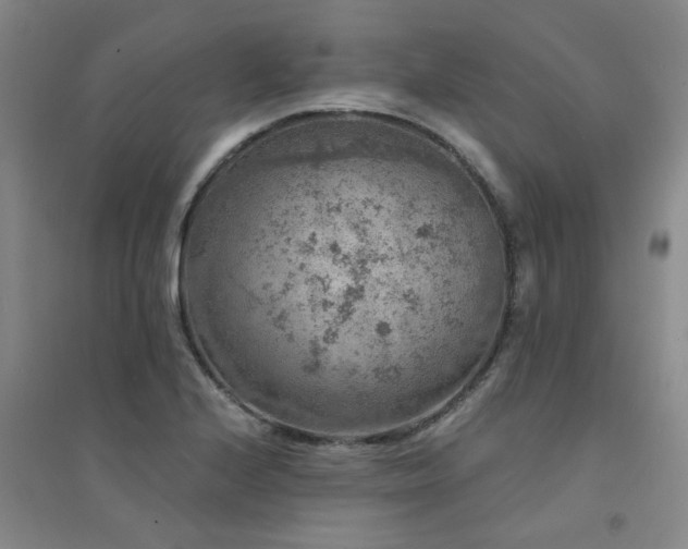 X0000094441224200711081241
