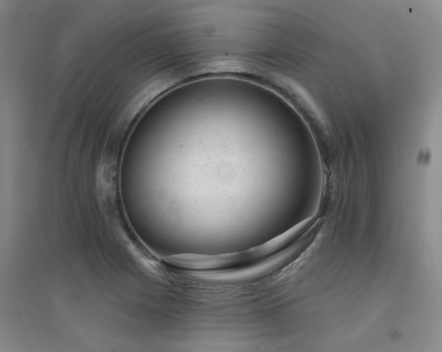 X0000094441225200711081241