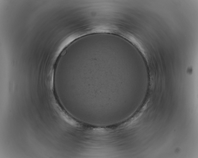 X0000094441227200711081241