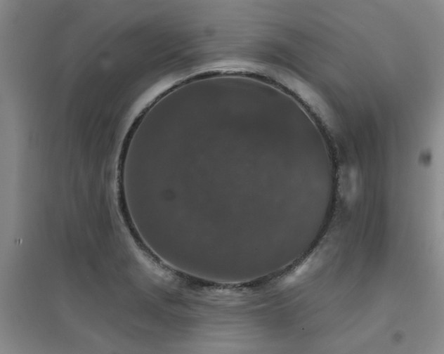 X0000094441229200711081241