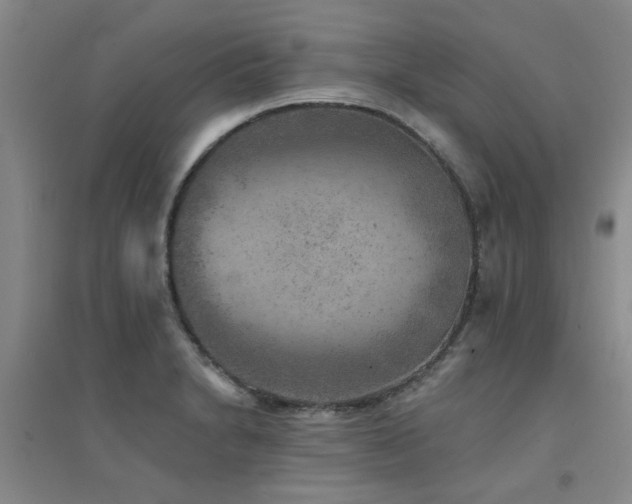 X0000094441230200711081241