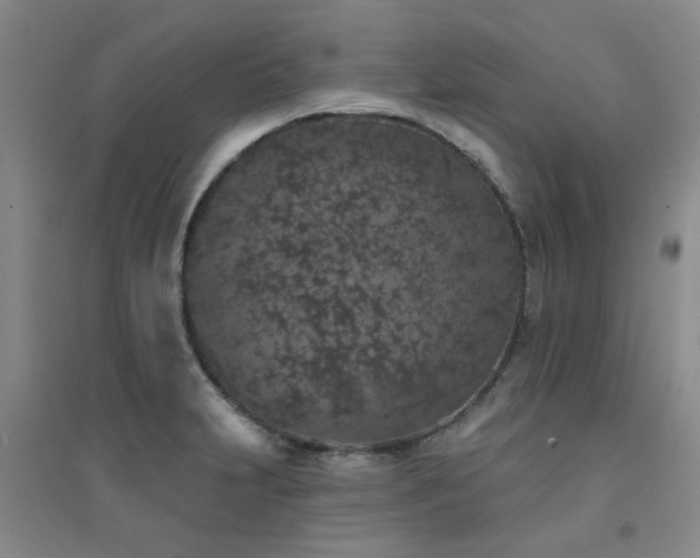X0000094441231200711081241