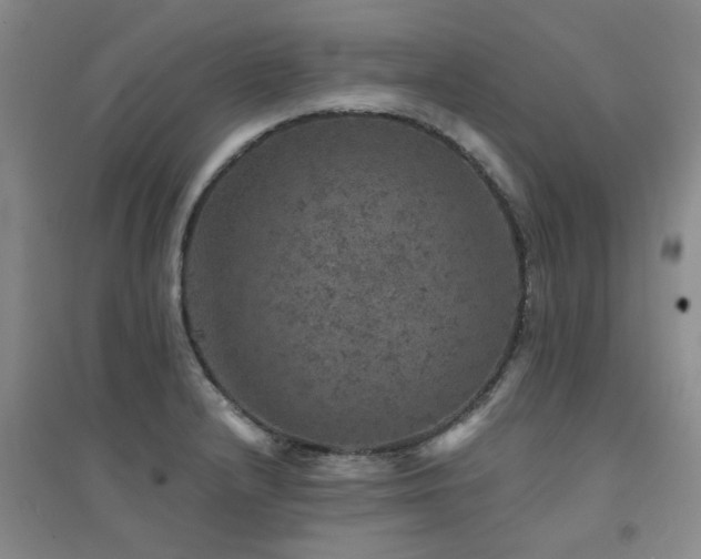 X0000094441232200711081241