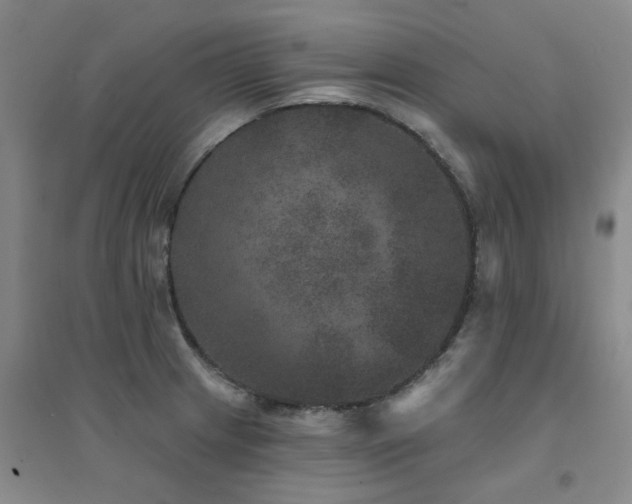X0000094441233200711081241