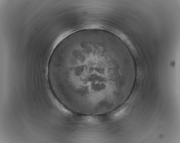 X0000094441234200711081241