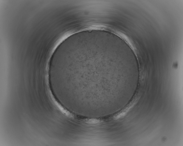 X0000094441235200711081241