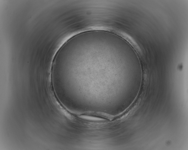 X0000094441236200711081241