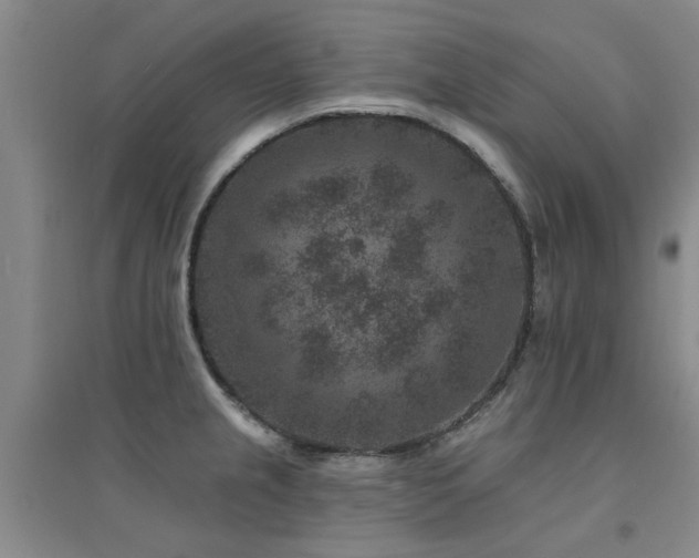 X0000094441237200711081241