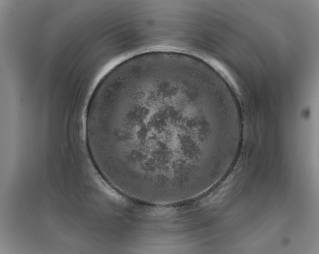 X0000094441238200711081241