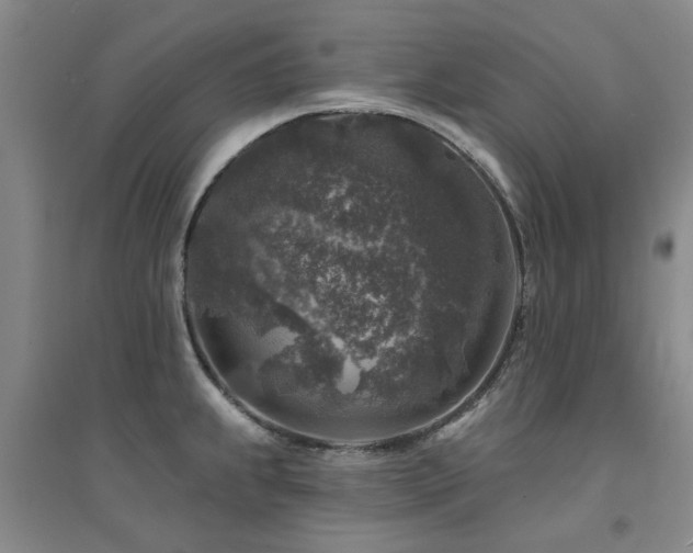 X0000094441239200711081241