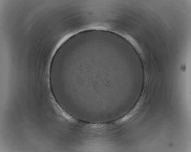 X0000094441240200711081241