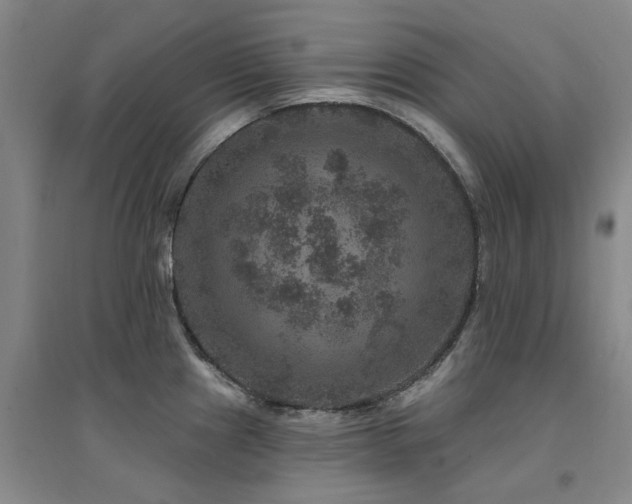 X0000094441241200711081241