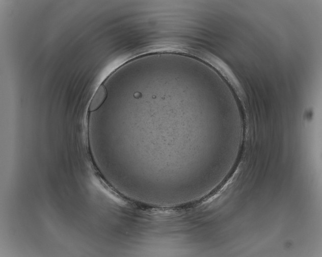 X0000094441242200711081241