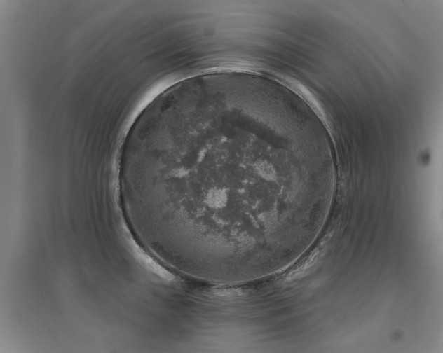 X0000094441243200711081241