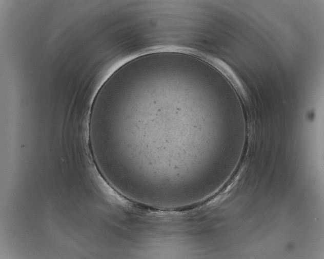 X0000094441244200711081241