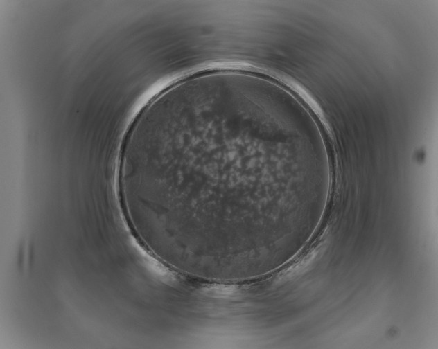 X0000094441245200711081241