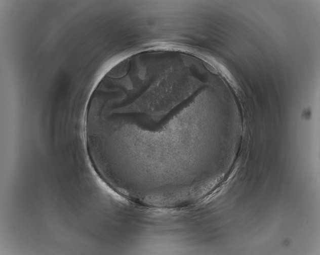 X0000094441247200711081241