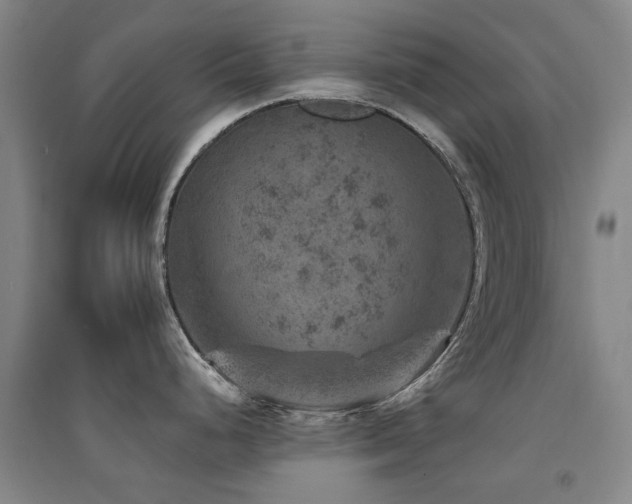 X0000094441248200711081241