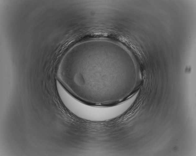 X0000094441249200711081241