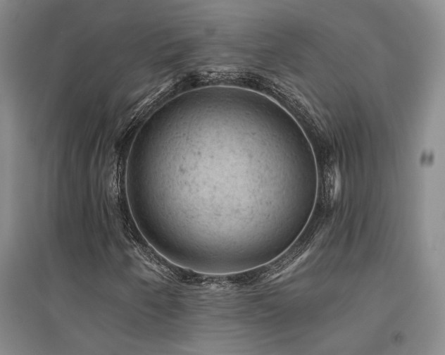 X0000094441250200711081241