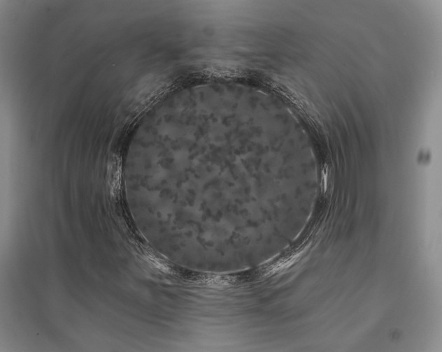 X0000094441251200711081241