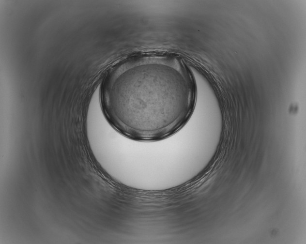 X0000094441252200711081241