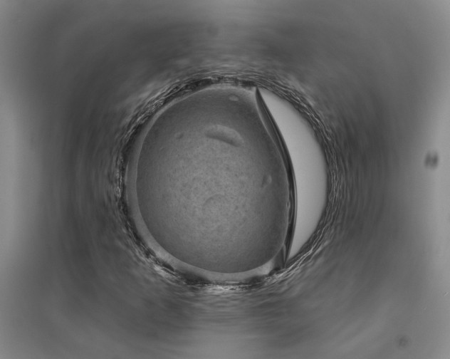 X0000094441253200711081240