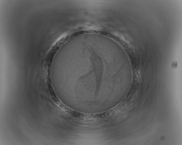 X0000094441254200711081240
