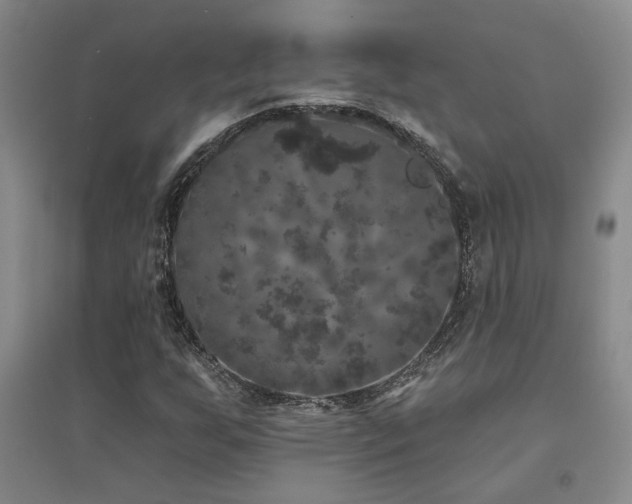 X0000094441255200711081240