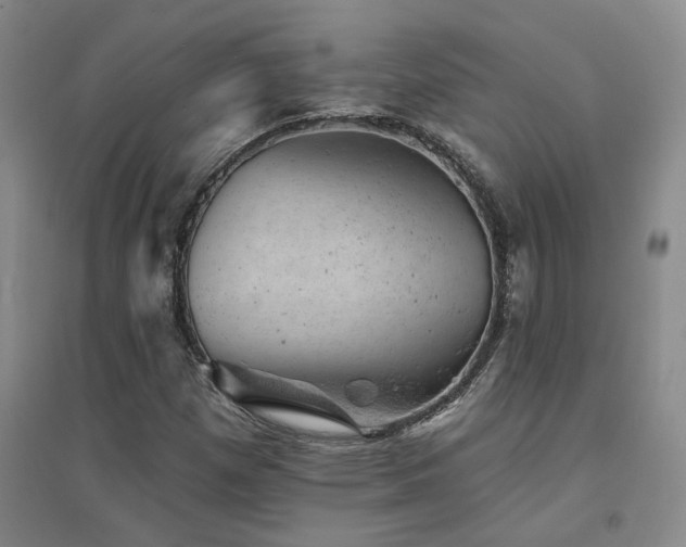 X0000094441257200711081240