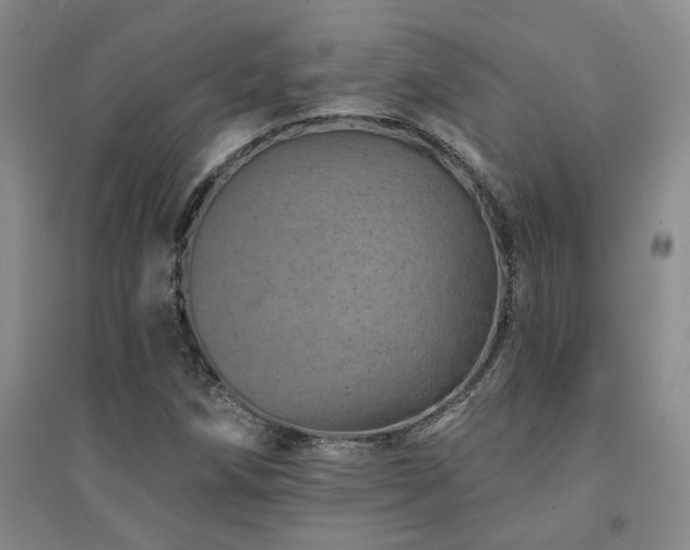 X0000094441258200711081240