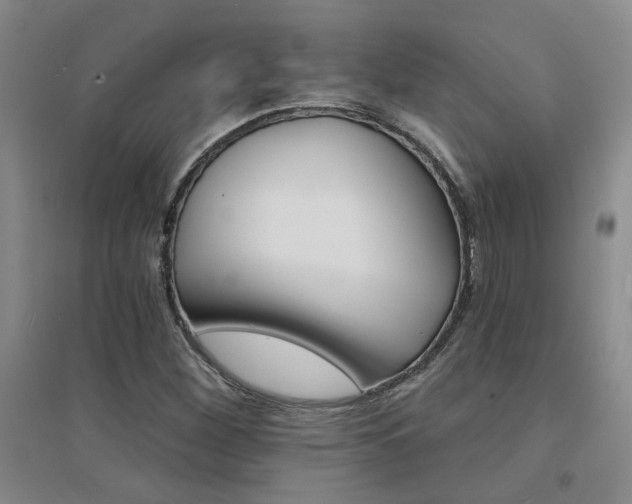 X0000094441260200711081240
